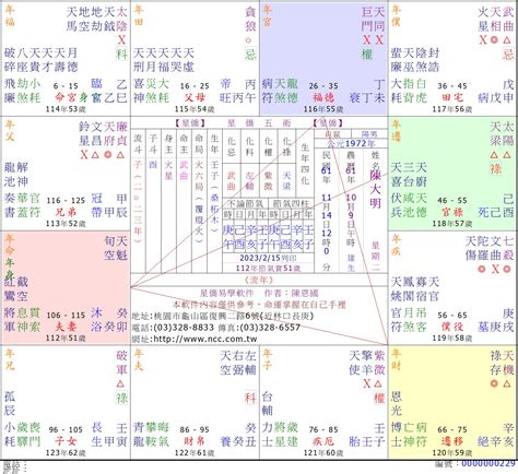 星橋紫微斗數|星僑中國五術網